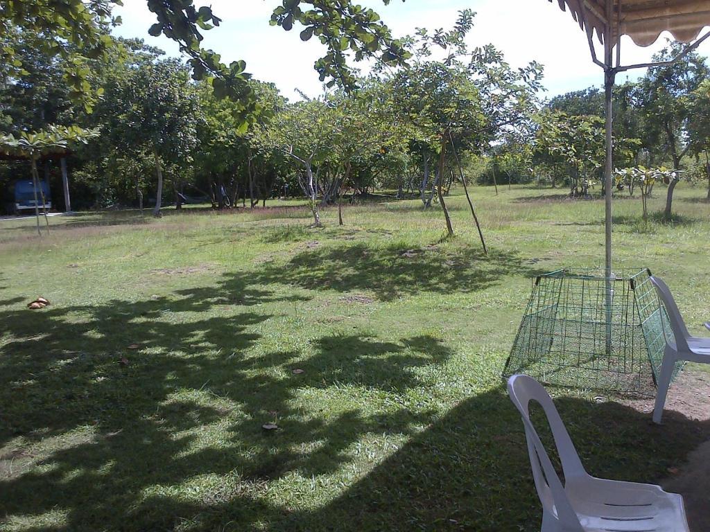 Ladaga Inn & Restaurant Panglao Εξωτερικό φωτογραφία