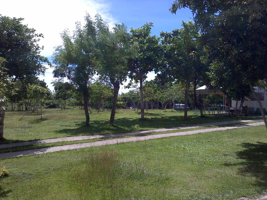Ladaga Inn & Restaurant Panglao Εξωτερικό φωτογραφία